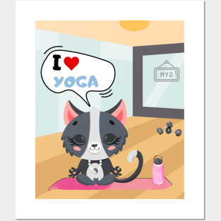 Cat doing yoga in the gym Posters and Art